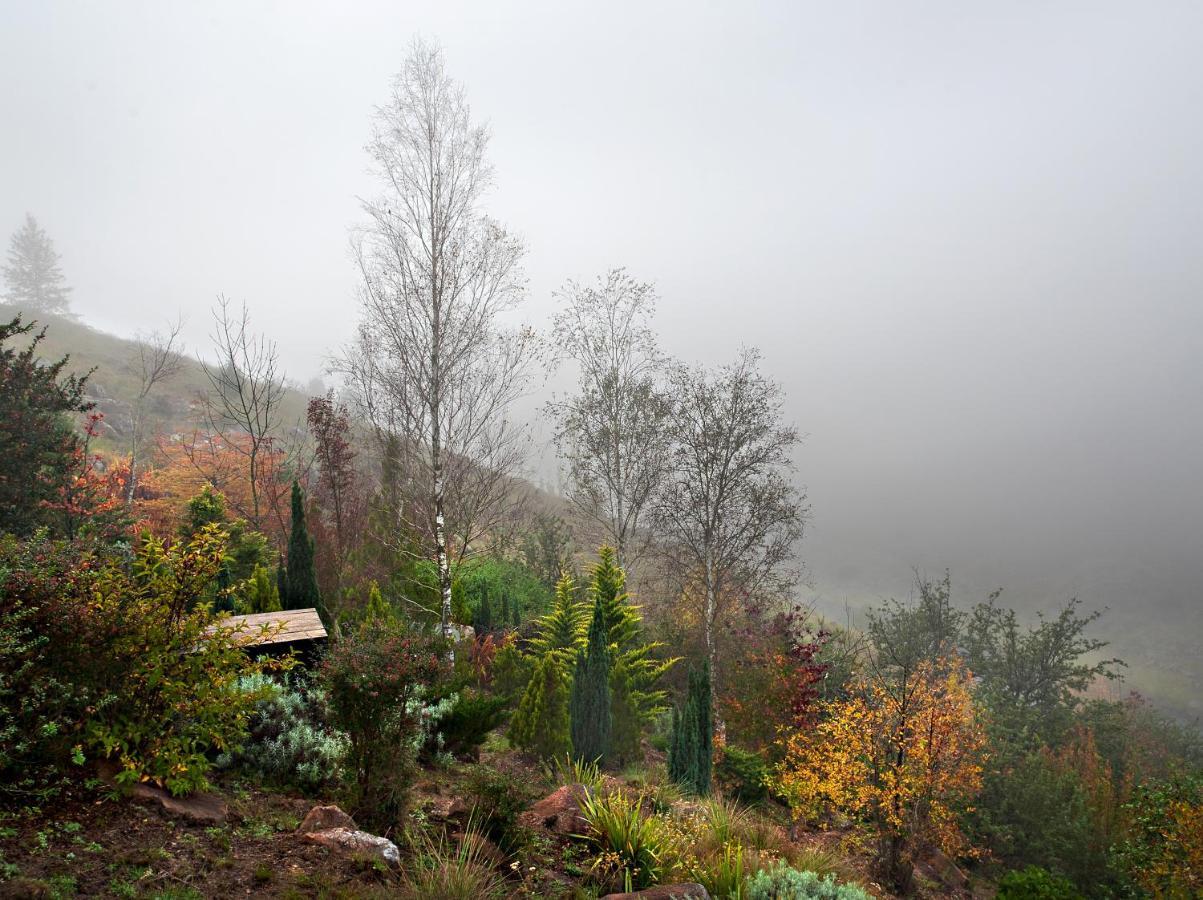 Birches Cottage & The Willows Garden Room Underberg Exterior foto