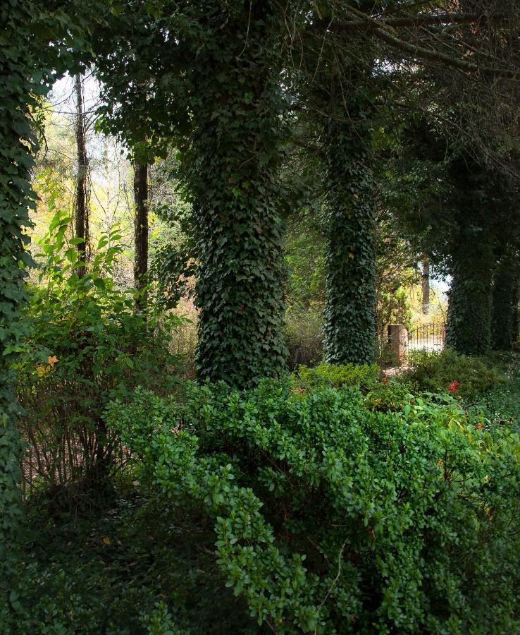 Birches Cottage & The Willows Garden Room Underberg Exterior foto