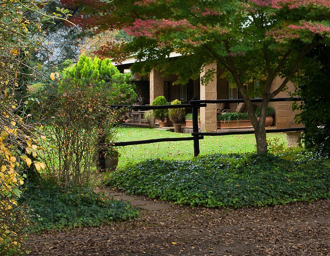 Birches Cottage & The Willows Garden Room Underberg Exterior foto