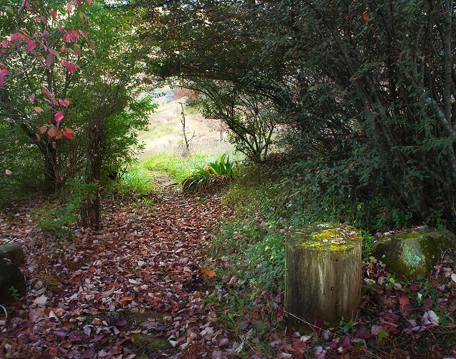 Birches Cottage & The Willows Garden Room Underberg Exterior foto