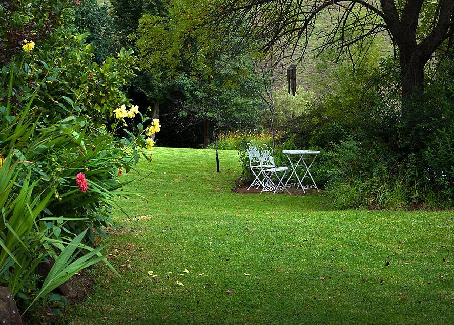 Birches Cottage & The Willows Garden Room Underberg Exterior foto
